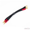 Jumper haut-parleurs phono Transparent Basic Biwire (x4)