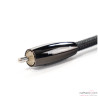 Câble numérique coaxial Audioquest Carbon