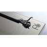 Platine Vinyle Rega P6 RS