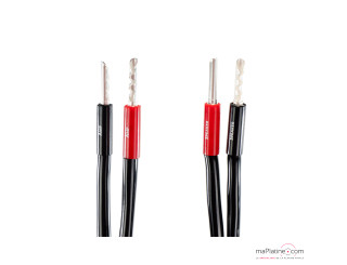 Câble Haut Parleur Audioquest Type 5 + SurGrip 100 silver