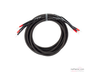 Câble Haut Parleur Audioquest Type 5 + SurGrip 100 silver