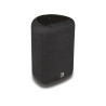 Enceinte Bluesound PULSE FLEX 2i