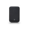 Enceinte Bluesound PULSE FLEX 2i