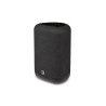 Enceinte Bluesound PULSE FLEX 2i