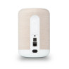 Enceinte Bluesound PULSE FLEX 2i