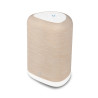 Enceinte Bluesound PULSE FLEX 2i