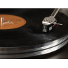 Cellule GRADO Prestige Green 4