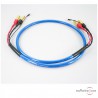 Câble Cardas Quadlink Phono