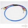 Câble Cardas Quadlink Phono