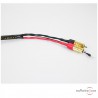 Câble Cardas Quadlink Phono