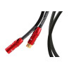 Câble coaxial Atlas Mavros AES/EBU XLR