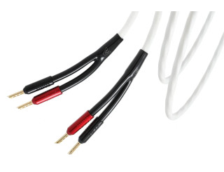 CABLE HP ATLAS ELEMENT SPEAKER R1 Bananes