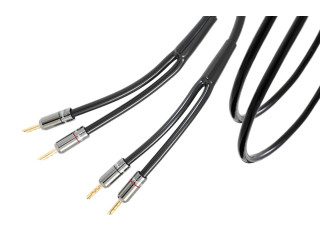 CABLE HP ATLAS HYPER SPEAKER 3.5 R1 Bananes