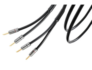 CABLE HP ATLAS HYPER SPEAKER 5.0 R1 Bananes