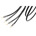 CABLE HP ATLAS HYPER SPEAKER 5.0 R1 Bananes