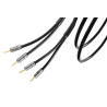 CABLE HP ATLAS HYPER SPEAKER 5.0 R1 Bananes