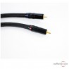 Phonokabel Transparent The Musiclink Super G6 - Ausverkauf