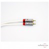 Modulationskabel QED Performance Audio 40