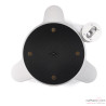 Platine vinyle Acoustic Signature Tornado NEO - Argent