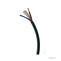 Cable alimentation Audioquest NRG 525