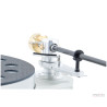 Acoustic Signature Merlin Neo 30th Anniversary