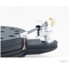 Acoustic Signature Merlin Neo 30th Anniversary