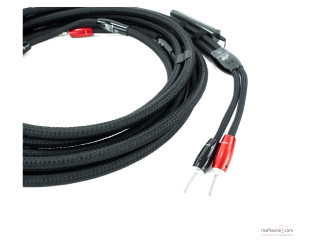 Câble Haut Parleur Audioquest Lone Ranger Bananes