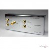 Phono-Vorverstärker Benz Micro PP-1