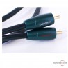 Audioquest Evergreen Modulationskabel