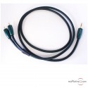 Audioquest Evergreen Modulationskabel