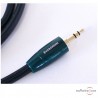 Audioquest Evergreen Modulationskabel