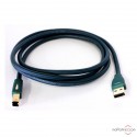Cavo USB AudioQuest Forest