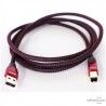 Câble USB Audioquest CINNAMON