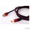 Audioquest CINNAMON USB-Kabel