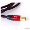 Audioquest CINNAMON USB-Kabel