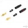 1 Paar RCA-Stecker