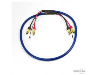 Câble phono Cardas Clear Phono Câble phono Cardas Clear Phono