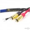 Câble phono Cardas Clear Phono