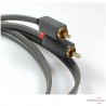 Wireworld Terra Modulationskabel