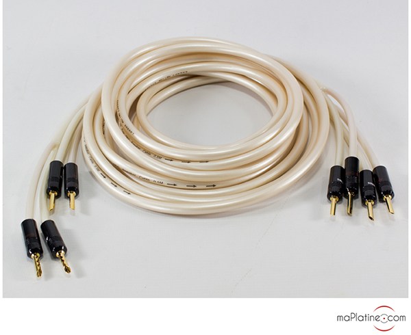 Atlas Equator Banane loudspeaker cables