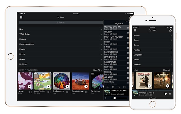 Application Bluesound