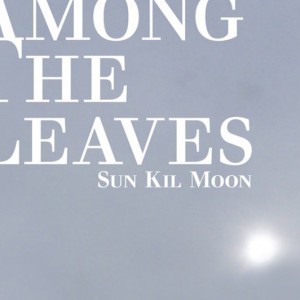 Sun Kil Moon – Among the Leaves