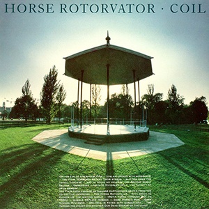 Disque Coil - Horse Rotorvator