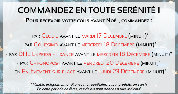 Dates limites pour une livraison avant Noël chez maPlatine.com