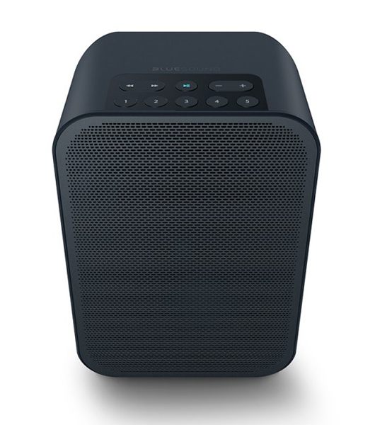 Enceinte Bluesound PULSE FLEX 2i