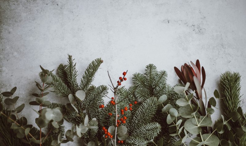 Vignette calendrier de l'avent