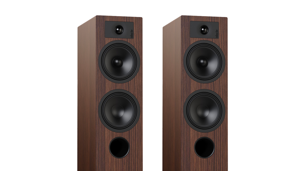 The TESI 5 speakers are perfectly matched to the Musical Fidelity B1xi amplifier.