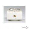 Nagaoka MP100 MM cartridge Nagaoka MP100 MM cartridge