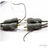 Câble PHONO Audioquest Wildcat