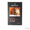 Câble PHONO Audioquest Wildcat